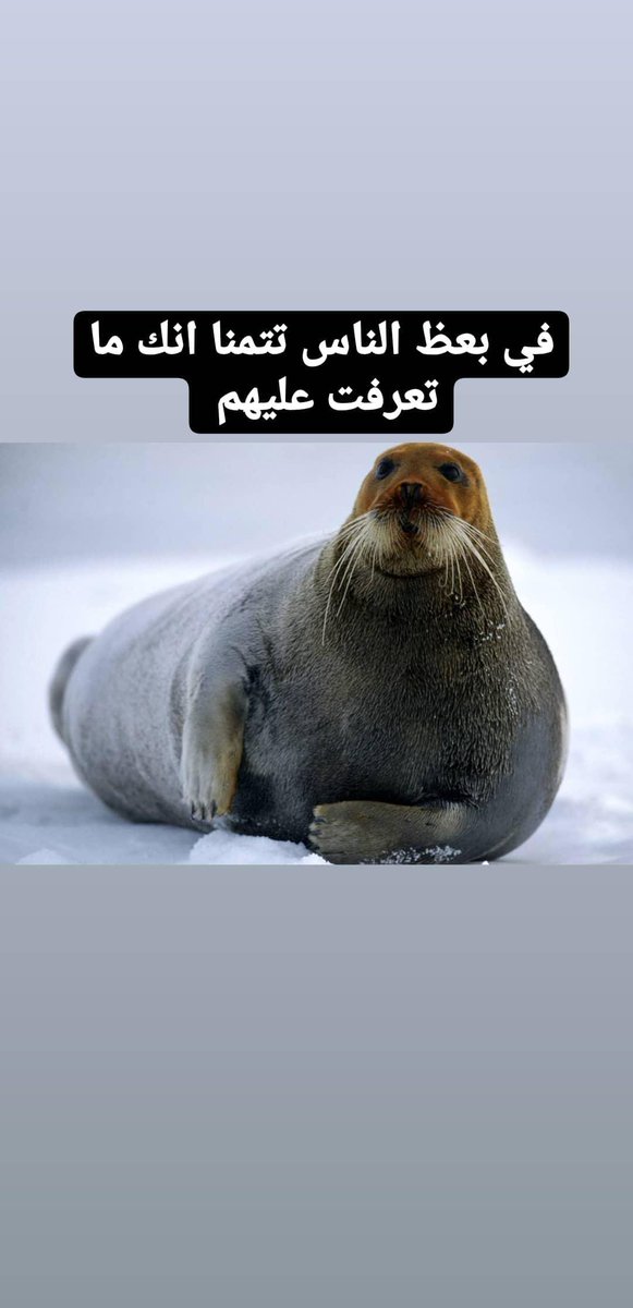 4roQtqk5SPLC1P3's tweet image. في بعض الناس عندك مسكين و وراك سكين 🗡️