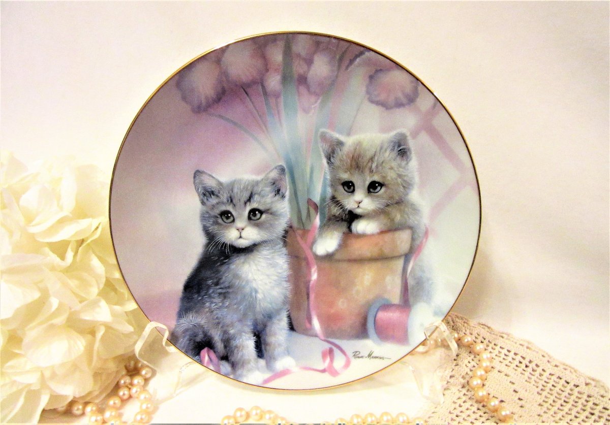 ruanemanning - Twitter Search / Twitter