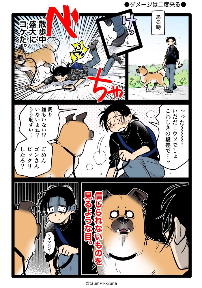 体は平気だったけれど心に傷が･･･www散歩中に飼い主が転んでしまう瞬間を見てしまった犬の反応www