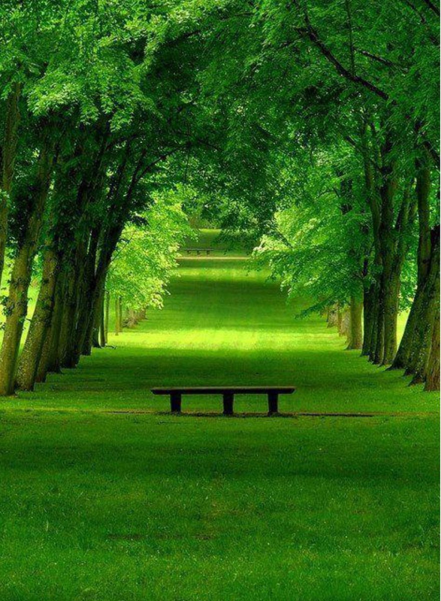 DevmanInc's tweet image. 🏡Things R looking worn-out,common areas R out dated &amp;amp; your residents aren’t satisfied
All those aging results affect the property value &amp;amp; damage the reputation of your #Property 
What 2do?
It’s time 2think about updating
plz😊👍🏻🔁
#Renovations #Toronto #Maintenance #Restorations