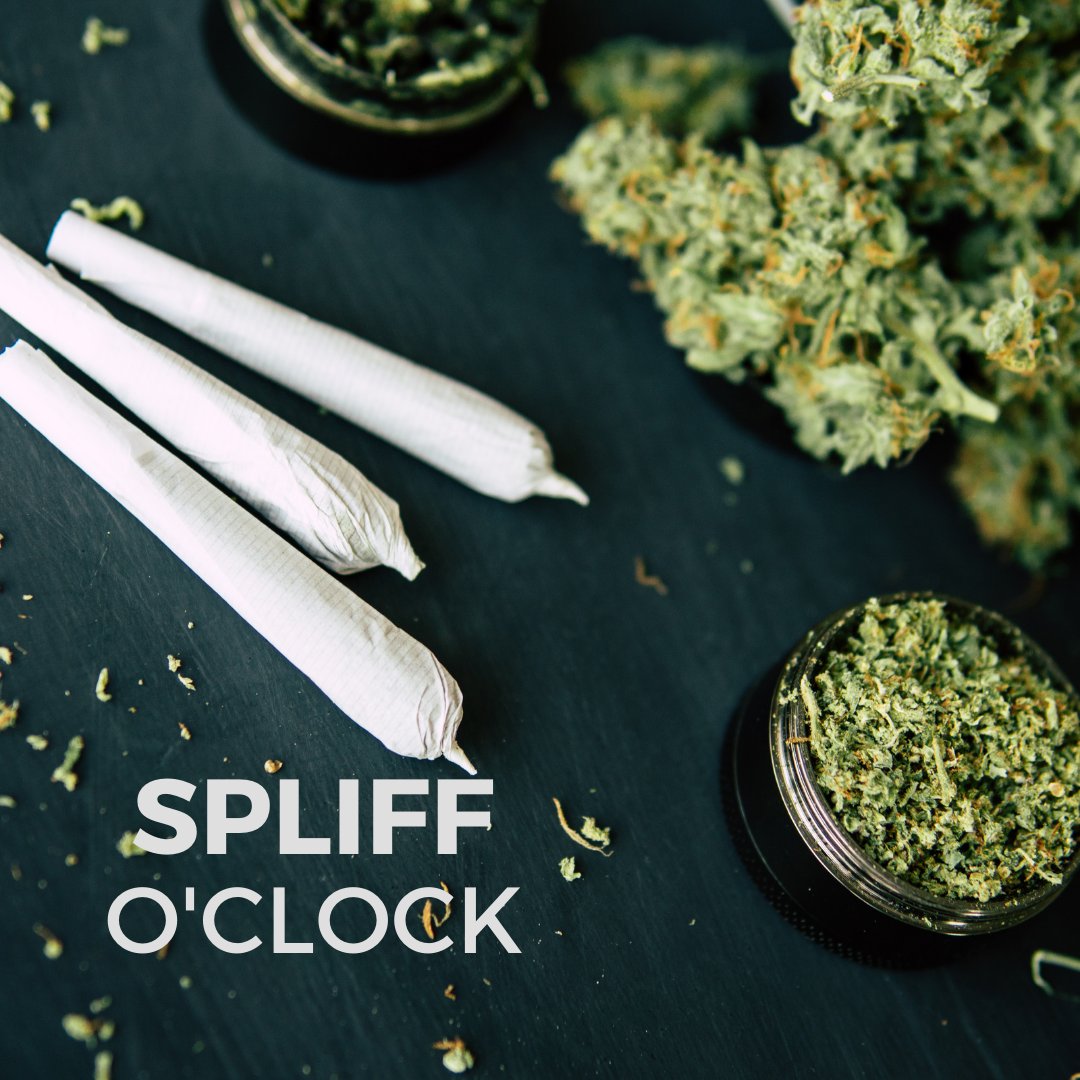 PotLife2's tweet image. What time is it???????-----------------------------------------------
#potlife420 #cannabisculture #cannabis #culture #yolo #hipster #smoke #shop #revolution #life #green #smokeshop #potlife #lifeculture #teamtime #vegetation #terrestrialplant #grassfamily #botany #grassy