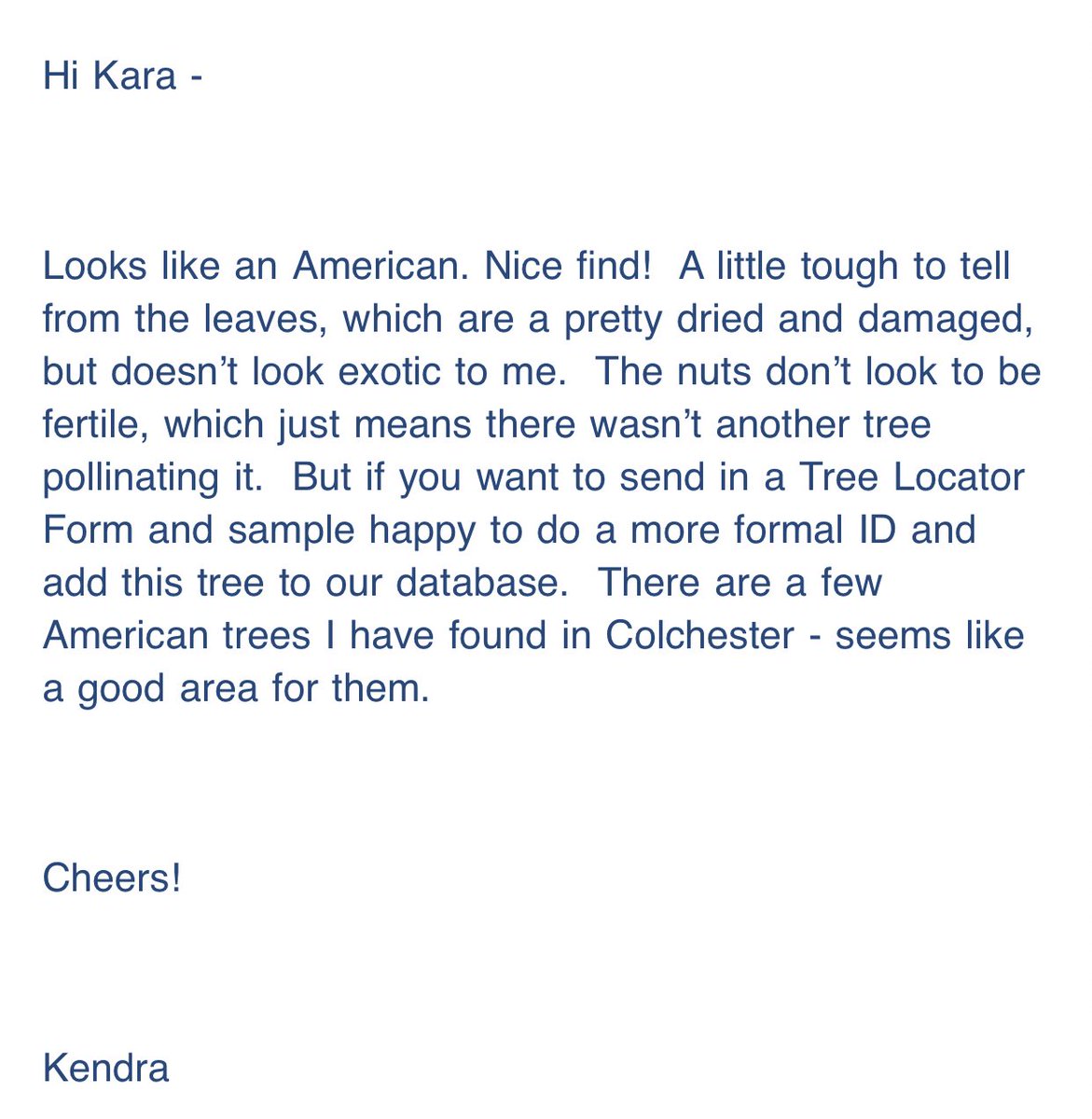 FREAKING CONFIRMED!!! ITS ONE OF THE GREAT ANERICAN TREASURES OF THE NORTHEAST!!!! Email reply from our local American Chestnut Association rep: