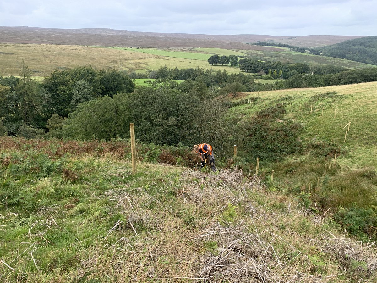 Wildscapes's tweet photo. The Conservation Contracts team are busy improving boundaries across the #Sheffield #Lakeland area, installing over 1.5km of #fencing.
We offer a range of #landmanagement and #conservation services. Check them out here;
https://t.co/c4JNB7yKsg
@SheffieldLakes #SLLP https://t.co/js8t62d4uL
