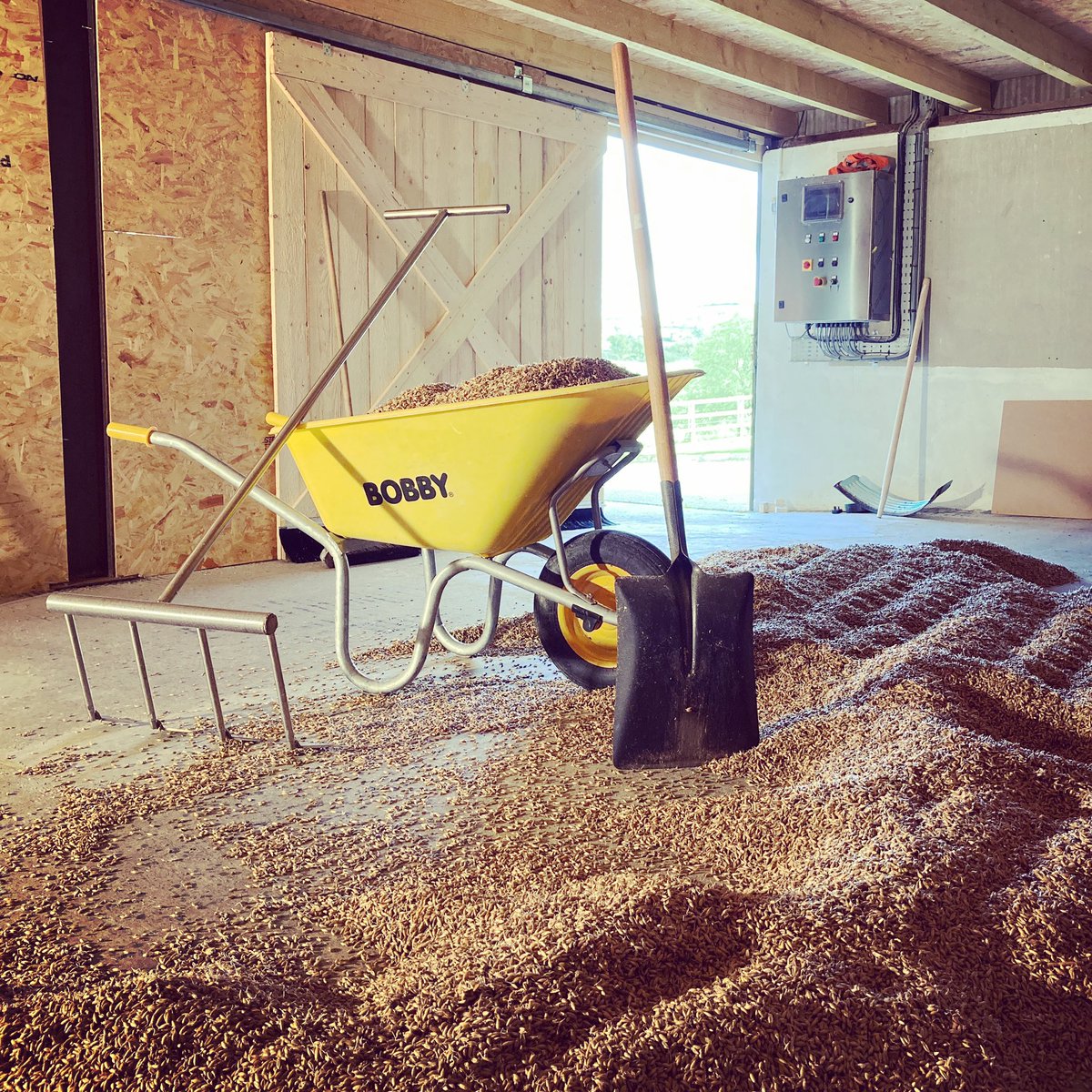 Damien Rafferty (@craftsman_malt) on Twitter photo Fresh batch of Oat Malt on its way to <a href="/PLDistillery/">Pearse Lyons Dist.</a>, Oats supplied by our friends <a href="/ActonHouseFarm/">Acton House Farm</a> and distributed by @LoughranMalt Fresh batch of Oat Malt on its way to <a href="/PLDistillery/">Pearse Lyons Dist.</a>, Oats supplied by our friends <a href="/ActonHouseFarm/">Acton House Farm</a> and distributed by @LoughranMalt