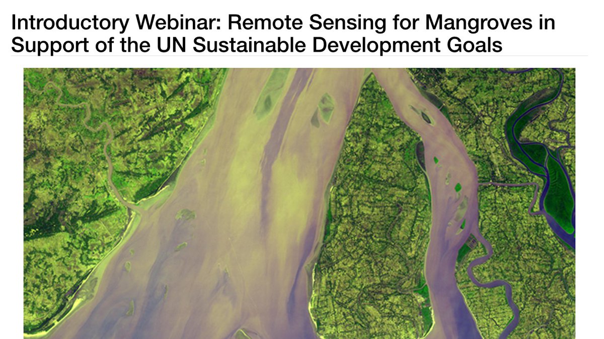 keherndon's tweet photo. AND if you want even more mapping and monitoring mangroves, throughout November our awesome trainer @abarenblitt and @EarthToLola will be providing a #NASAARSET training on Remote Sensing for Mangroves in Support of the UN Sustainable Development Goals: https://t.co/wTx7oqBdGj https://t.co/tRENbbe964