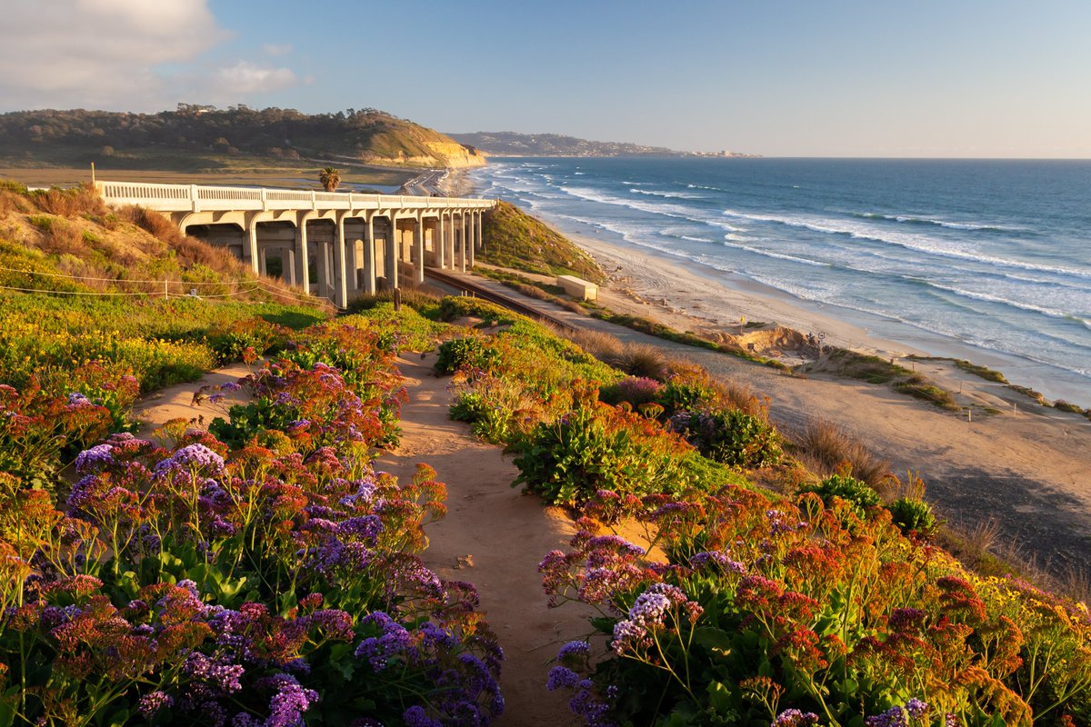 travellanza's tweet photo. Torrey Pines State Beach, San Diego! ❤️😍🇺🇸 #SanDiego #California #USA #Tourism #travel #travellanza #safetravels #TravelAlways #HappyTraveler #WanderLife #TravelEverywhere #TravelHappy #TravelStory #LifeWellTraveled #TravelOften #TravelForLife #PostcardPlaces #CaliforniaDreaming https://t.co/FVTw83J62U