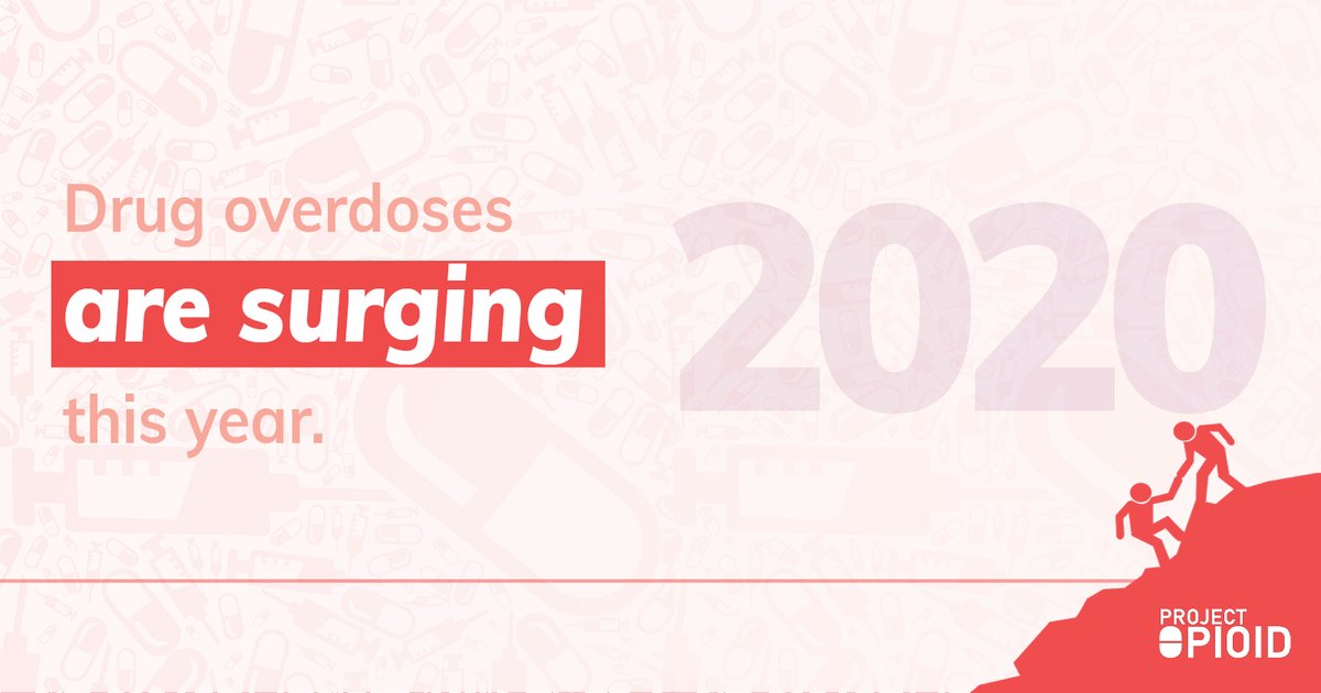 Project Opioid tweet media