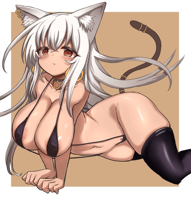 けもみみかいた 