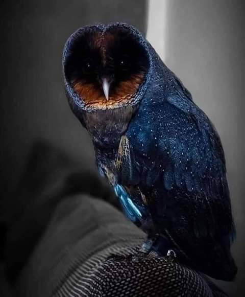 rafaa25e's tweet photo. وكأنها خلقت من الأفلاك وكأن الفلك يسكن بها .. https://t.co/zn6ynKtG2V