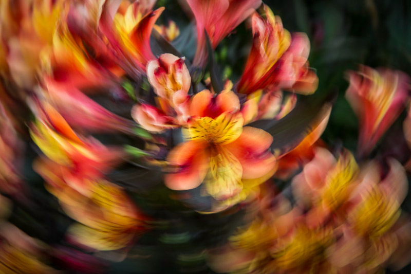 LandmarkArts's tweet photo. Intro to Photography w/ Jackie Rado starts Thurs 1st Oct as an online class for 8 weeks; &amp; we have spaces left! This course helps you to make the most of your camera. 
Call the Landmark for more info &amp; to book! 020 8977 7558
#photography #onlineartclass #DSLR #digitalphotography https://t.co/36dgfzxnuy