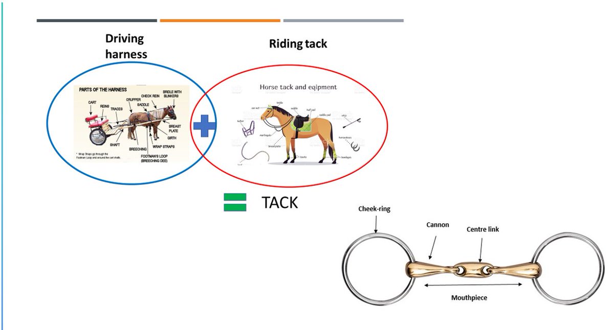 4. It's odd then that nobody rfeally studies the stuff that made the horse go in the direction, and do the jobs that people wanted - loriinery. The art of making bits, spurs, small metal items of tack. Oh and as an informative thingie, here's a diagram of tack/harness.