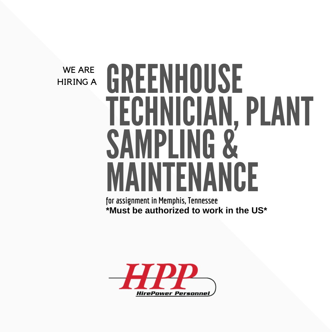 HPPStaffing's tweet image. #Wearehiring a #GreenhouseTechnician, #PlantSampling &amp;amp; #Maintenance for assignment in #Memphis, #Tennessee, to apply and for more information please visit the following link: portal.dynamicsats.com/JobListing/Det… #tennesseejobs #wearehiring #jobsearch #hiring #employment #jobopening