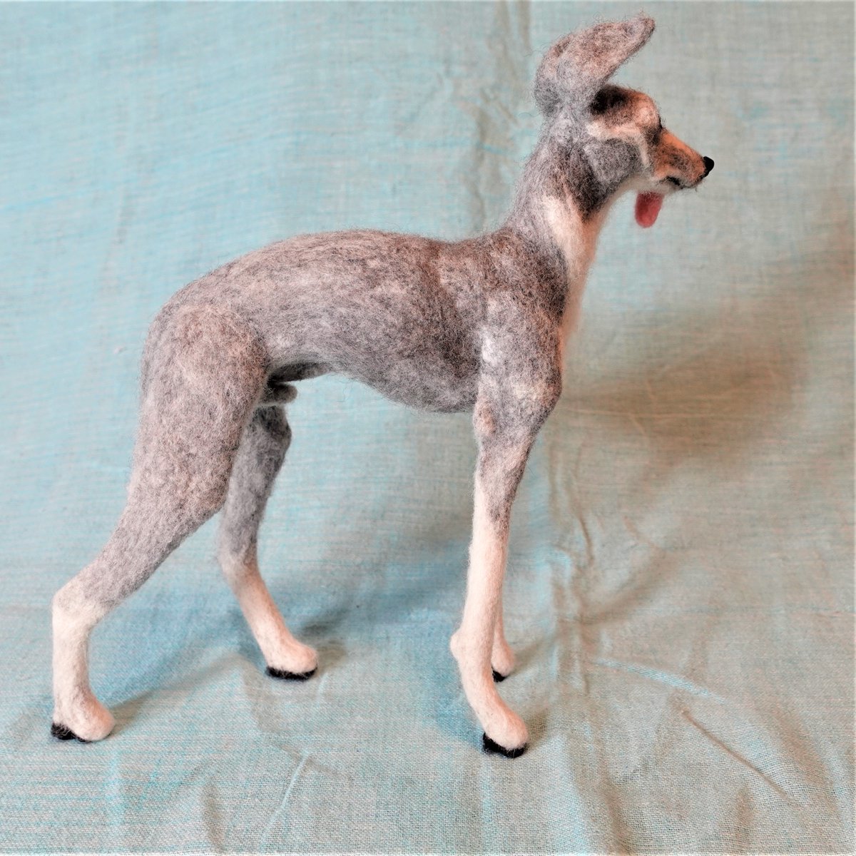 forestinheaven's tweet photo. 羊毛フェルト
イタリアングレイハウンド
Italian Greyhound
Monsieur Dupont (デュポン 13歳)
#felt #フェルト #WoolFelt #FeltWool #PreFelt #NeedleWork #羊毛フェルト #FeltAnimals #FeltDogs #dog #dogs #dogstagram #ItalianGreyhound #イタリアングレイハウンド #イタグレ https://t.co/bFKS8t1yTk
