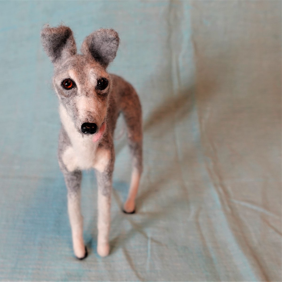forestinheaven's tweet photo. 羊毛フェルト
イタリアングレイハウンド
Italian Greyhound
Monsieur Dupont (デュポン 13歳)
#felt #フェルト #WoolFelt #FeltWool #PreFelt #NeedleWork #羊毛フェルト #FeltAnimals #FeltDogs #dog #dogs #dogstagram #ItalianGreyhound #イタリアングレイハウンド #イタグレ https://t.co/bFKS8t1yTk