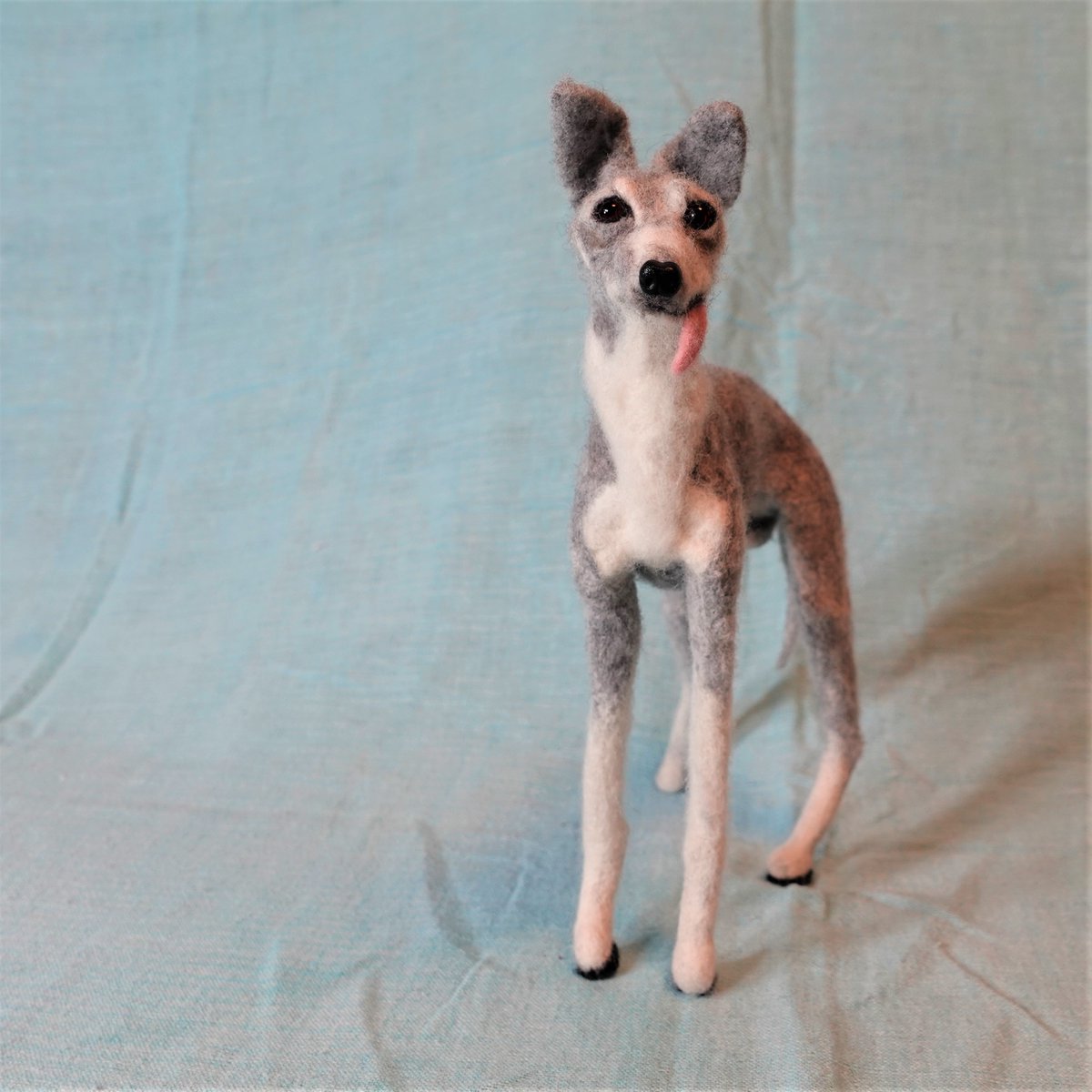 forestinheaven's tweet photo. 羊毛フェルト
イタリアングレイハウンド
Italian Greyhound
Monsieur Dupont (デュポン 13歳)
#felt #フェルト #WoolFelt #FeltWool #PreFelt #NeedleWork #羊毛フェルト #FeltAnimals #FeltDogs #dog #dogs #dogstagram #ItalianGreyhound #イタリアングレイハウンド #イタグレ https://t.co/bFKS8t1yTk