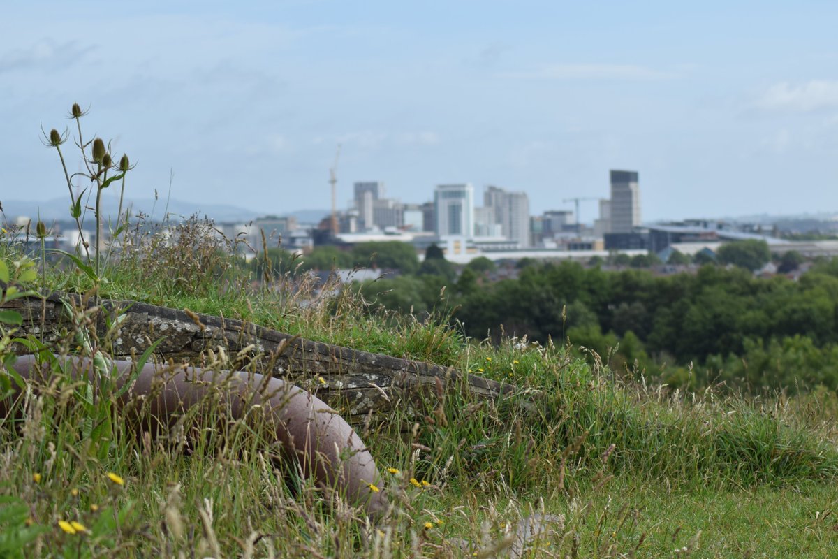 Number 4 - explore  #GrangemoorPark, which rises 66 ft above the River Ely and surrounding area and has brilliant panoramic views over south  #Cardiff. It's choc full of wildlife and backs on to a river walk. Find the entrance opposite McDonalds - CF11 0JR  #cardifflocallockdown