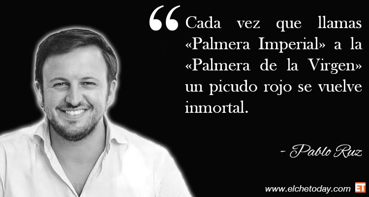 Cuando no puedes publicar nuevos “frases célebres” en <a href="/elchetoday/">Elche Today</a> porque las celebrities ya se las escriben ellos solitos... (habrá que crear un “parece el Elche Today”) #parecedelelchetoday