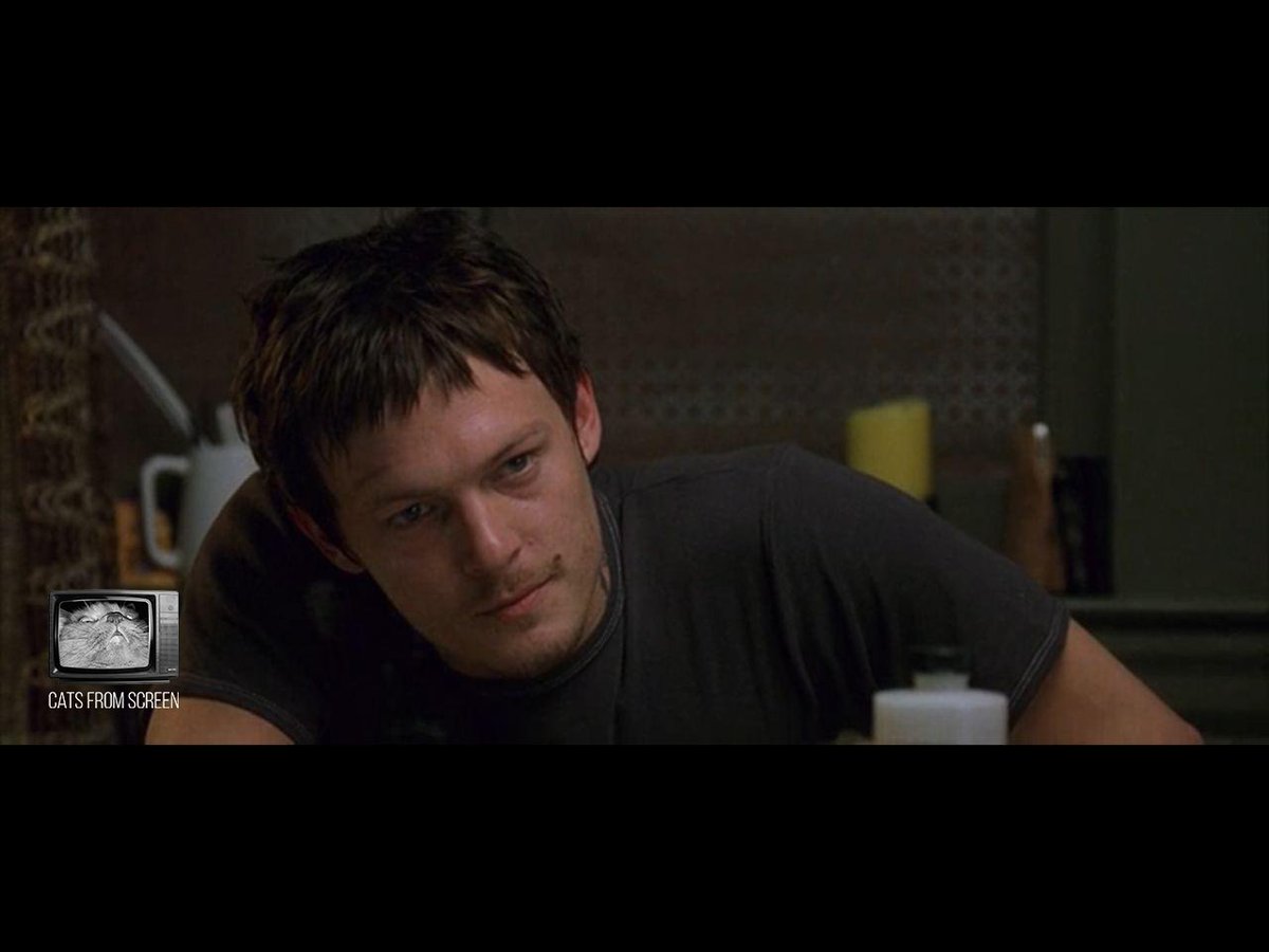 CatsScreen's tweet photo. Poor catty Skippy from The Boondock Saints (1999).
#catsfromscreen #theboondocksaints #пушистики #святыеизтрущоб #кино #котики #кошки #normanreedus #cat https://t.co/DGFK4Oz2A5