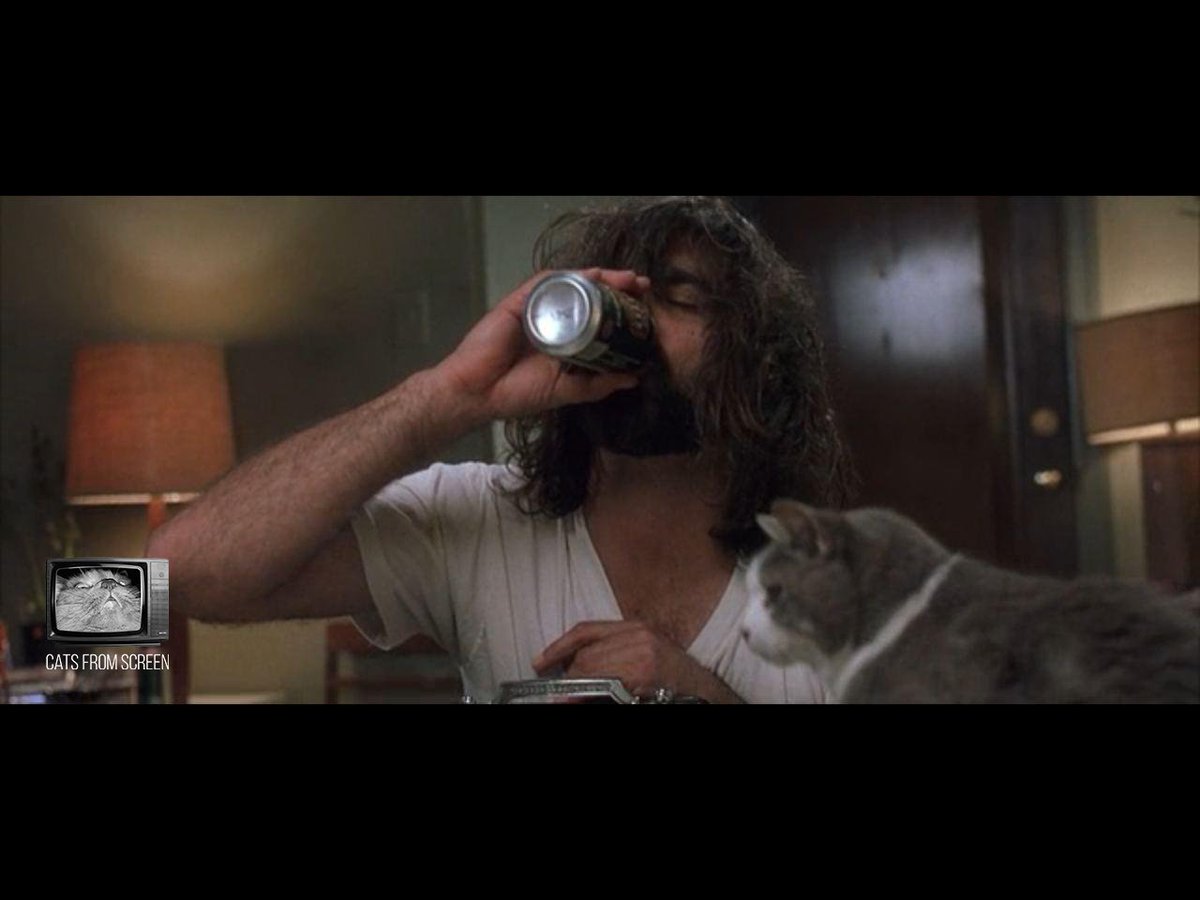 CatsScreen's tweet photo. Poor catty Skippy from The Boondock Saints (1999).
#catsfromscreen #theboondocksaints #пушистики #святыеизтрущоб #кино #котики #кошки #normanreedus #cat https://t.co/DGFK4Oz2A5