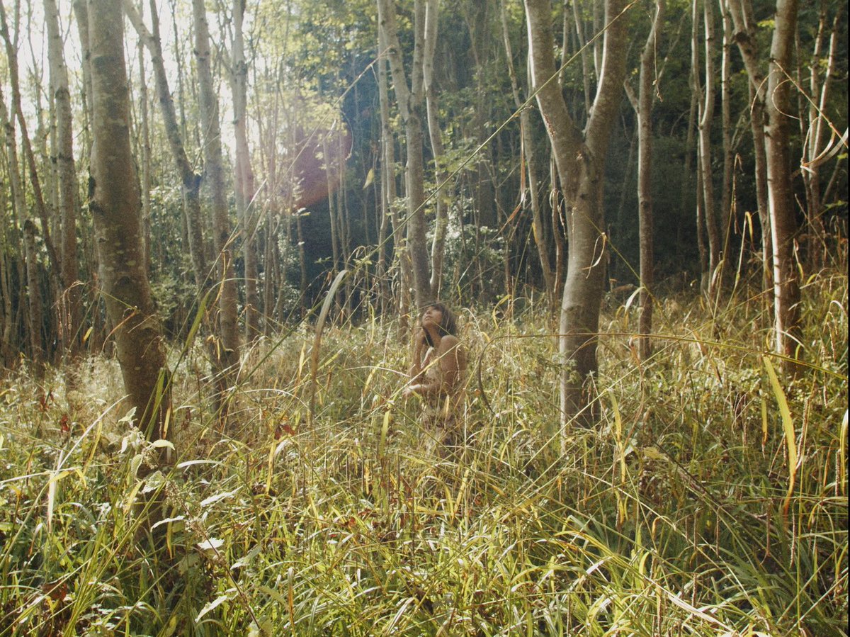 cosyseung's tweet image. aesthetic 🌲🍃🌾🌞