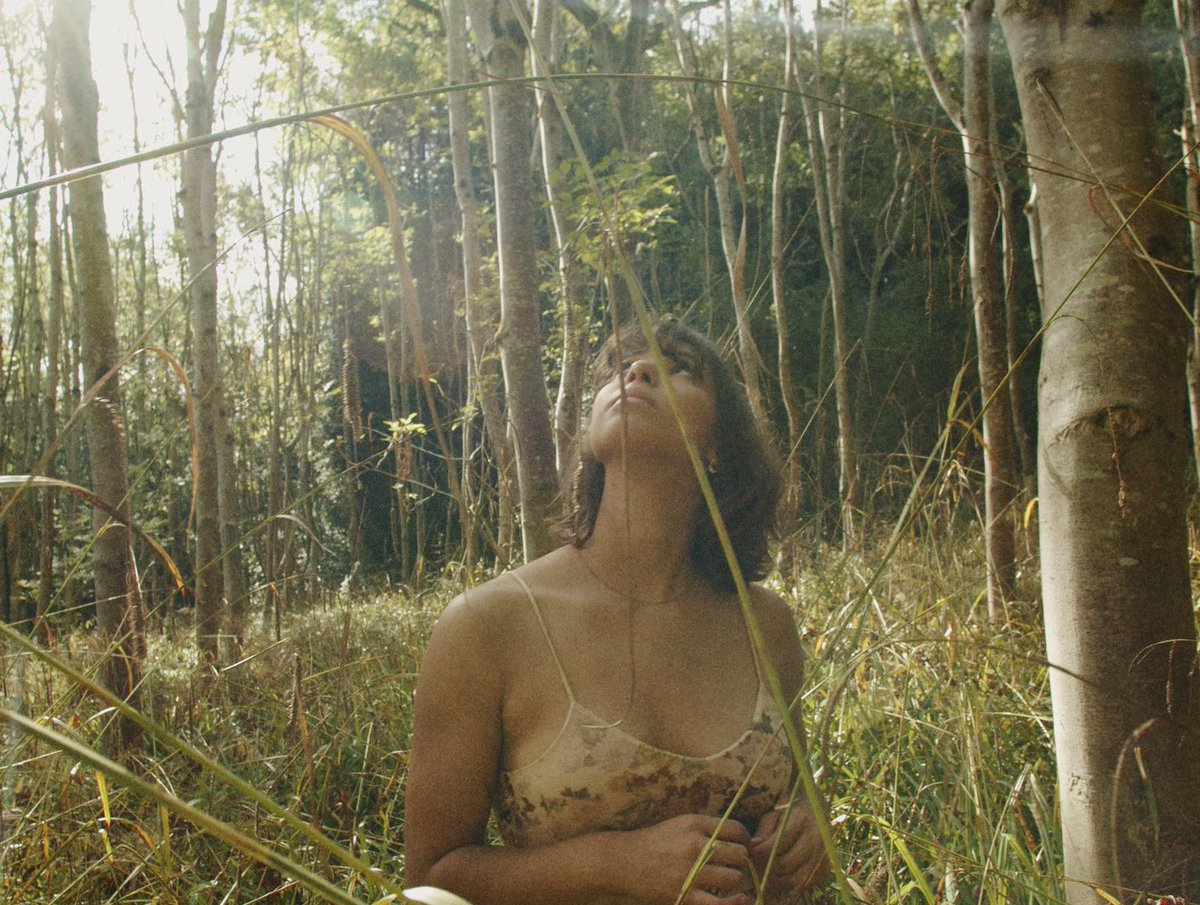 cosyseung's tweet image. aesthetic 🌲🍃🌾🌞