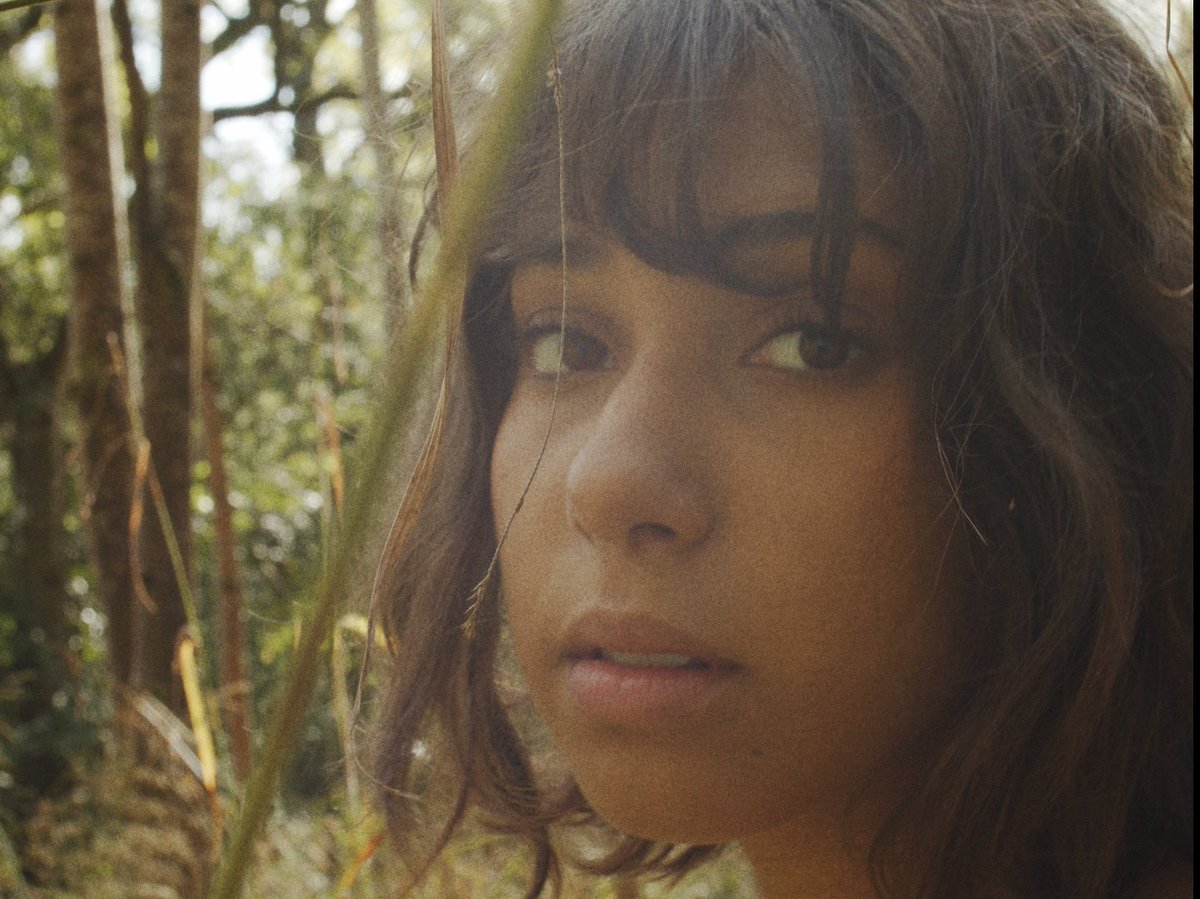 cosyseung's tweet image. aesthetic 🌲🍃🌾🌞