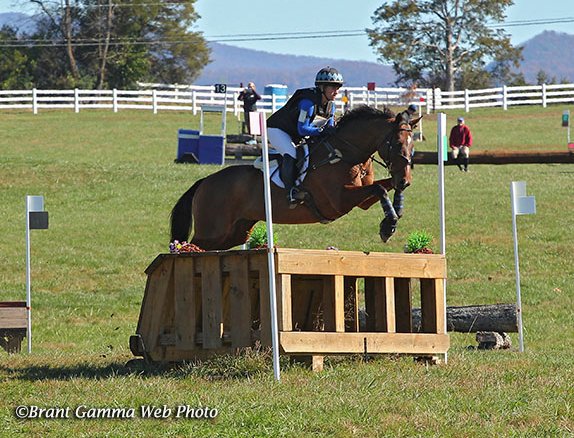 Maryland Thoroughbred tweet media