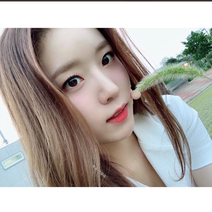 DreamnoteWorld's tweet image. [#DreamNote] Written by #Boni #DreamNoteDay

Dog grass 🌱

#드림노트 @iMe_Dreamnote