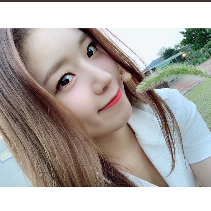 DreamnoteWorld's tweet image. [#DreamNote] Written by #Boni #DreamNoteDay

Dog grass 🌱

#드림노트 @iMe_Dreamnote