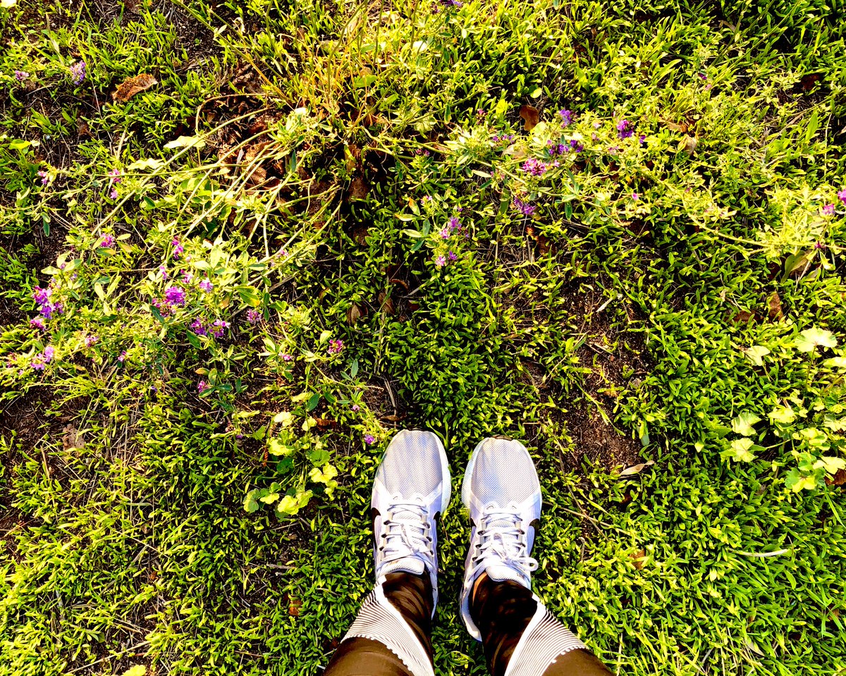 En días como hoy... Me quedo con las flores silvestres que aparecen en mitad del camino y te alegran el paseo... con esos abrazos cortos, intensos y a la carrera, pero que lo curan todo