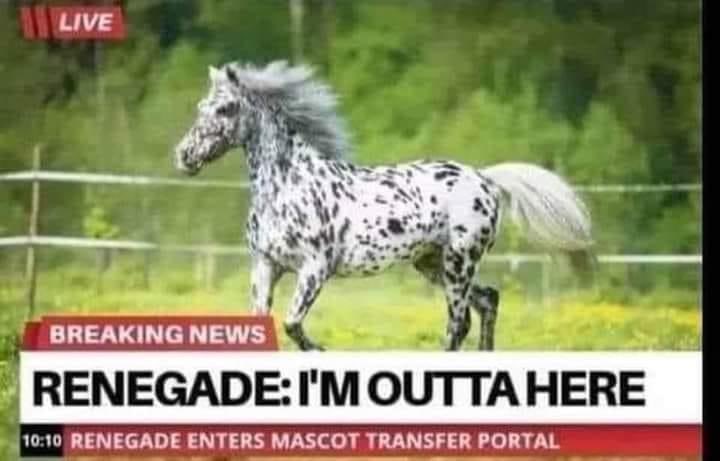 hish1520's tweet photo. 🚨BREAKING NEWS IN CFB🚨
After the beat down the Miami Hurricanes gave FSU their mascot has entered the portal https://t.co/Kr8ZbFFBwB