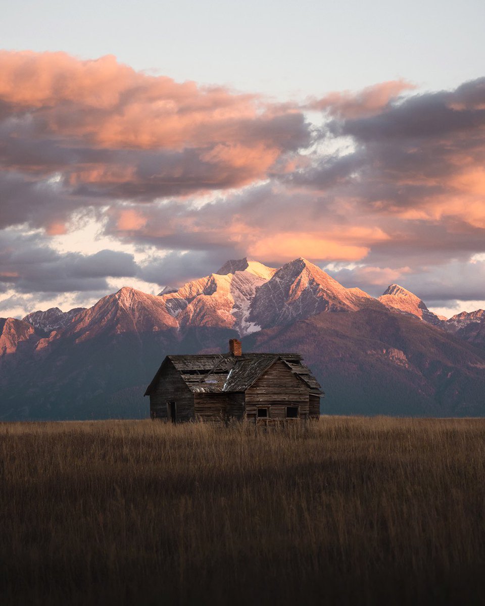 Eric Matt tweet media