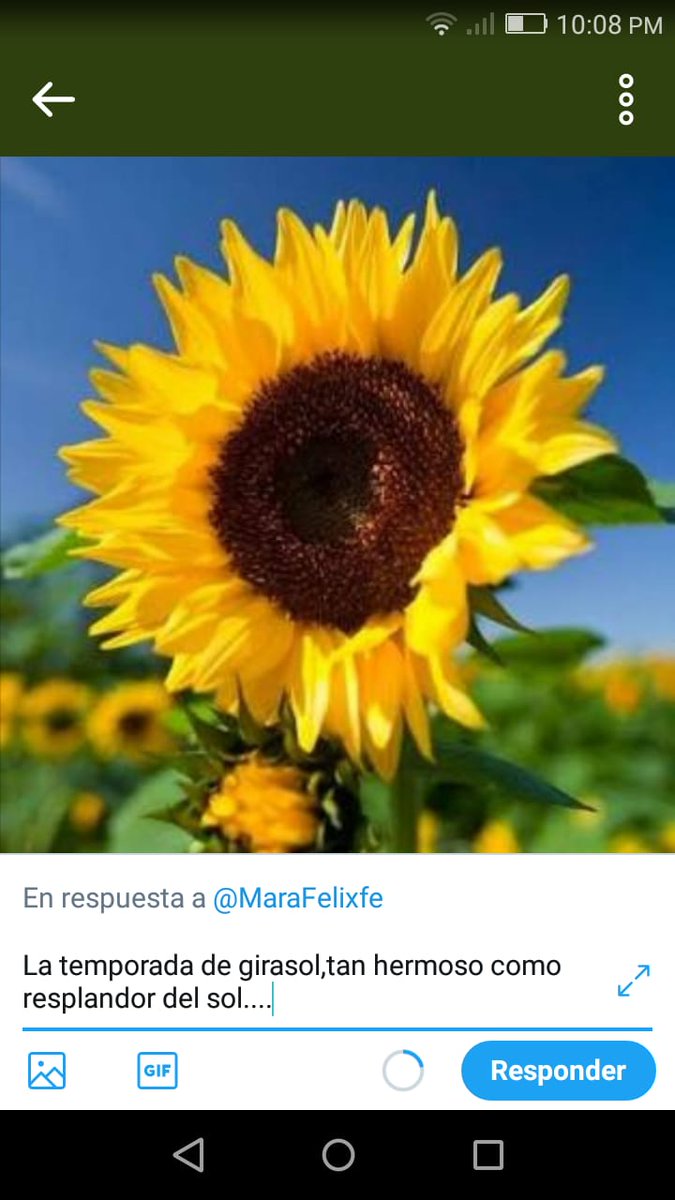 lidia_hernndz's tweet photo. https://t.co/LNPztHBI3b