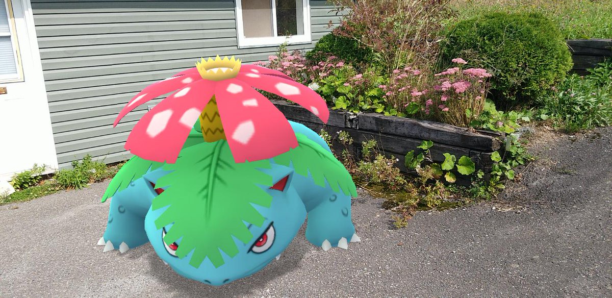 As Sprout and I were nearing Best  #PokemonGOBuddy rank, we continued our  #GOSnapshot quest to find nifty plantlife to snap pics at. The plants in this first pic definitely reminded me of the flower on  #Venusaur's back. #PokemonGO  #PokemonGOARplus