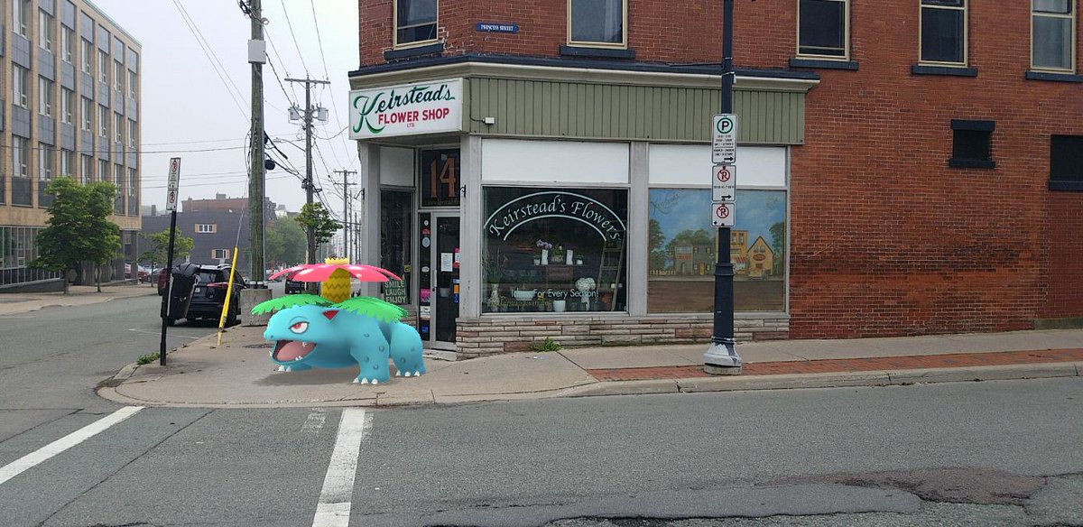 I had to swing my  #Venusaur, Sprout, by Kierstead's Flower Shop at some point, so he could see how his bloom matches up against the pros'. We also snapped some more sunny day grassy field  #GOSnapshot pics afterwards. #PokemonGO  #PokemonGOARplus  #PokemonGOBuddy