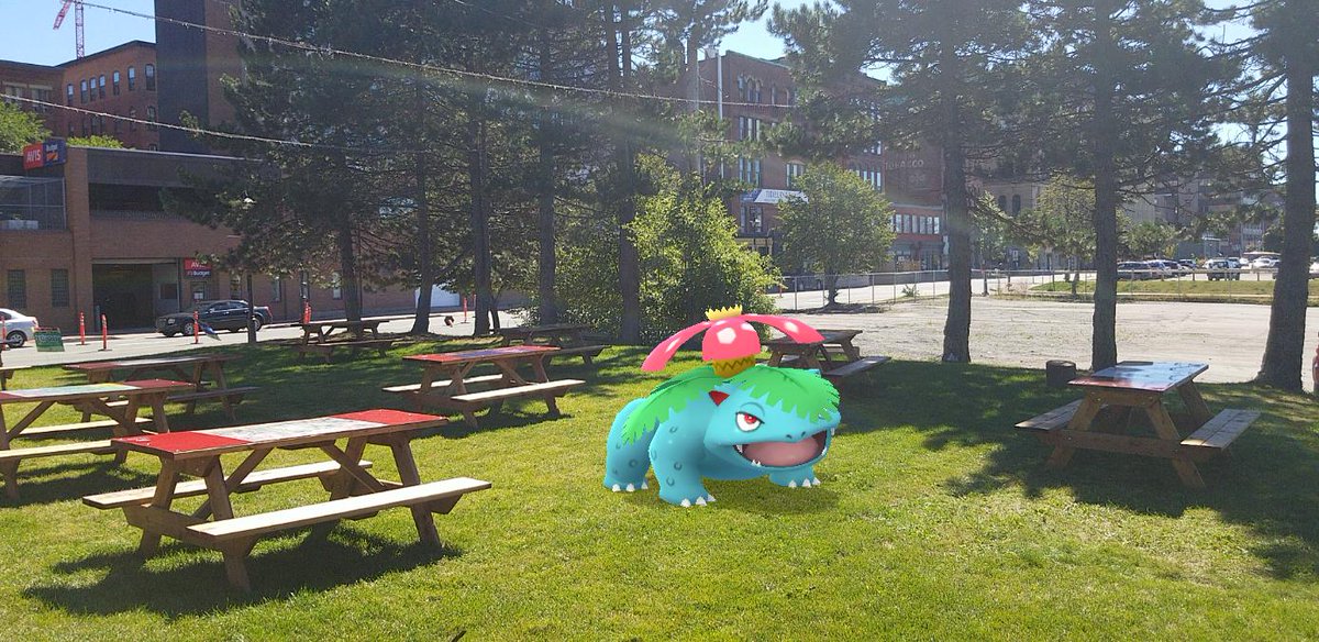 I had to swing my  #Venusaur, Sprout, by Kierstead's Flower Shop at some point, so he could see how his bloom matches up against the pros'. We also snapped some more sunny day grassy field  #GOSnapshot pics afterwards. #PokemonGO  #PokemonGOARplus  #PokemonGOBuddy