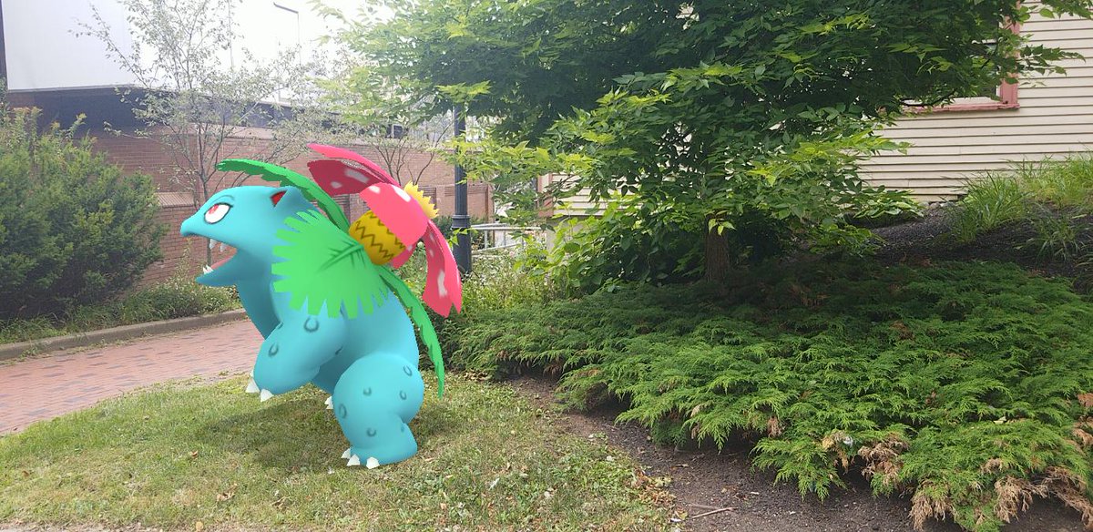 I had to swing my  #Venusaur, Sprout, by Kierstead's Flower Shop at some point, so he could see how his bloom matches up against the pros'. We also snapped some more sunny day grassy field  #GOSnapshot pics afterwards. #PokemonGO  #PokemonGOARplus  #PokemonGOBuddy