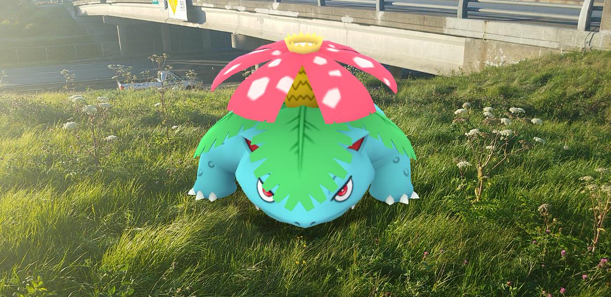 I had to swing my  #Venusaur, Sprout, by Kierstead's Flower Shop at some point, so he could see how his bloom matches up against the pros'. We also snapped some more sunny day grassy field  #GOSnapshot pics afterwards. #PokemonGO  #PokemonGOARplus  #PokemonGOBuddy