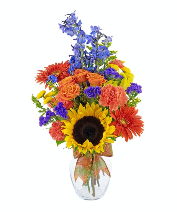Did you know that when YOU buy beautiful flowers from Zeidler's Flowers , Holly's House gets a donation? All you have to do is select HOLLY'S HOUSE from the list.  Enjoy the fall with a stunning arrangement! 

ow.ly/2d1L50BDD2l