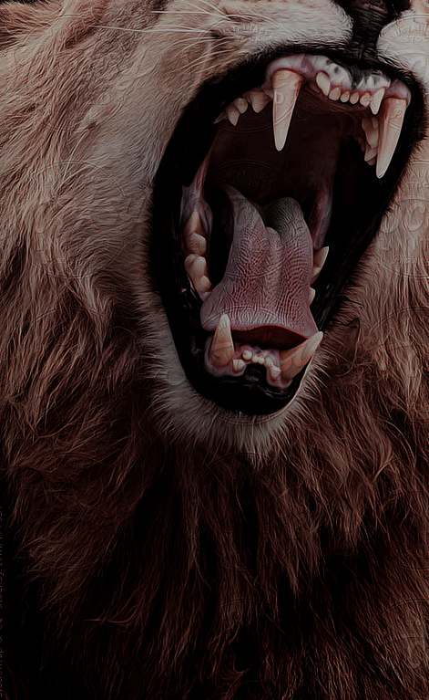 ㅤ      
 ㅤ      𝐖𝐀𝐓𝐂𝐇 𝐎𝐔𝐓 for people who are
 ㅤ      always bragging about who they are.
 ㅤ      A 𝐋𝐈𝐎𝐍 will never 𝐇𝐀𝐕𝐄 𝐓𝐎
 ㅤ      tell you it's a lion.

 ㅤ       ㅤ      𝐊𝐀𝐓𝐈𝐄 𝐅̶𝐔̶𝐂̶𝐊̶𝐈̶𝐍̶𝐆̶ 𝐁𝐄𝐋𝐋.