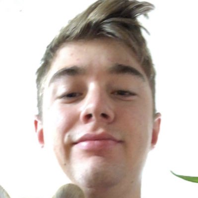 leadcss tweet picture