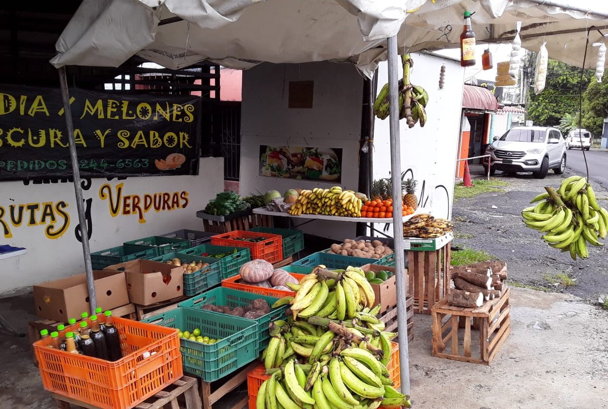 El #SausDeMily apoya al productor, comprándole a ellos directamente. Los limones criollos no parecen criollos de lo grandes y bonitos que están, son traídos directamente de La Espigadilla, provincia de Los Santos. Este es el puesto del señor Milciades Bredio en San Miguelito.