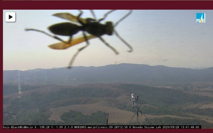 CountryBoi2020's tweet photo. While on @WildFireAlert.org watching #NorthBay #fire #Cameras a #wasp landed on the cam lens I was viewing of #blackmoutain in #Marin  1:30pm 9/28/20

@PGE4Me #insect #bugslife #buzz #Bee #fires https://t.co/LSirTHHbWk