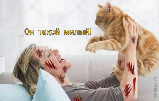 Ужасные мемы (@so_mad_so_funny) on Twitter photo 