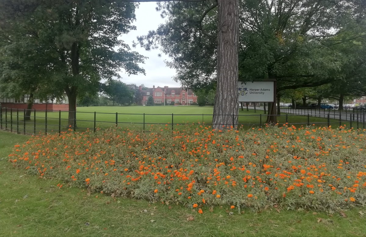 eugeniafezza's tweet photo. Happy to be back @HarperAdamsUni and to start #PhDlife 😊 😊 #integratedpestmanagement #entomology #vineweevil #catchmeifyoucan https://t.co/qwdevUHiQN