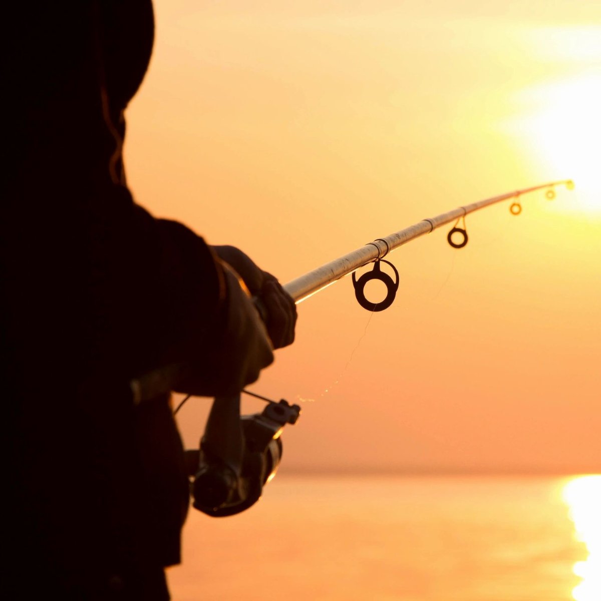 StJamesBayGolf's tweet photo. It's no secret that the Forgotten Coast is home to some of the world's best fishing!  Email us at jessica@stjamesbay.com to schedule an unforgettable charter today. https://t.co/IIIL6oAxyx