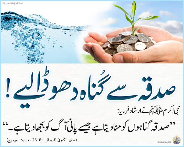 Ali Adnan Bhatti (@92ali12) on Twitter photo 