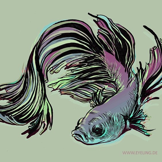 zeichenleere's tweet photo. Today is Fish Tank Floorshow Night. THE introvert event to meditate in front of your aquarium instead dragging yourself out to do boring things with others. Drawing made with Pentel FP10, coloured in photoshop.
#fishtankfloorshownight #siamesefightingfish #introvertproblems https://t.co/vmFID2oHN6