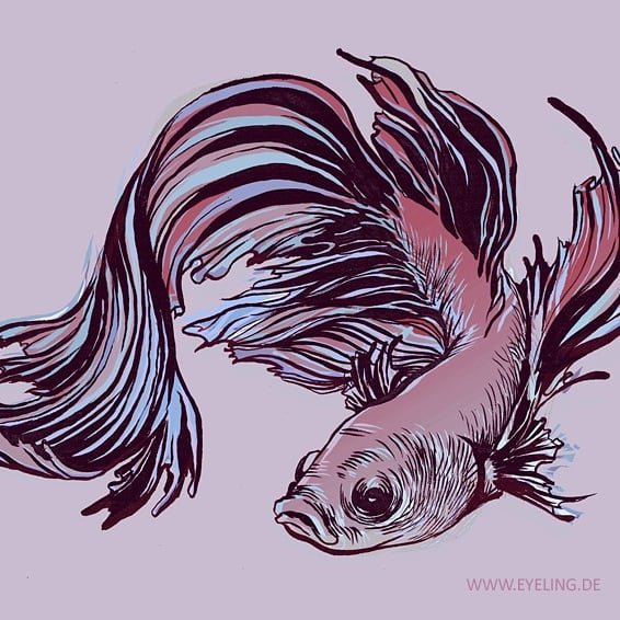 zeichenleere's tweet photo. Today is Fish Tank Floorshow Night. THE introvert event to meditate in front of your aquarium instead dragging yourself out to do boring things with others. Drawing made with Pentel FP10, coloured in photoshop.
#fishtankfloorshownight #siamesefightingfish #introvertproblems https://t.co/vmFID2oHN6