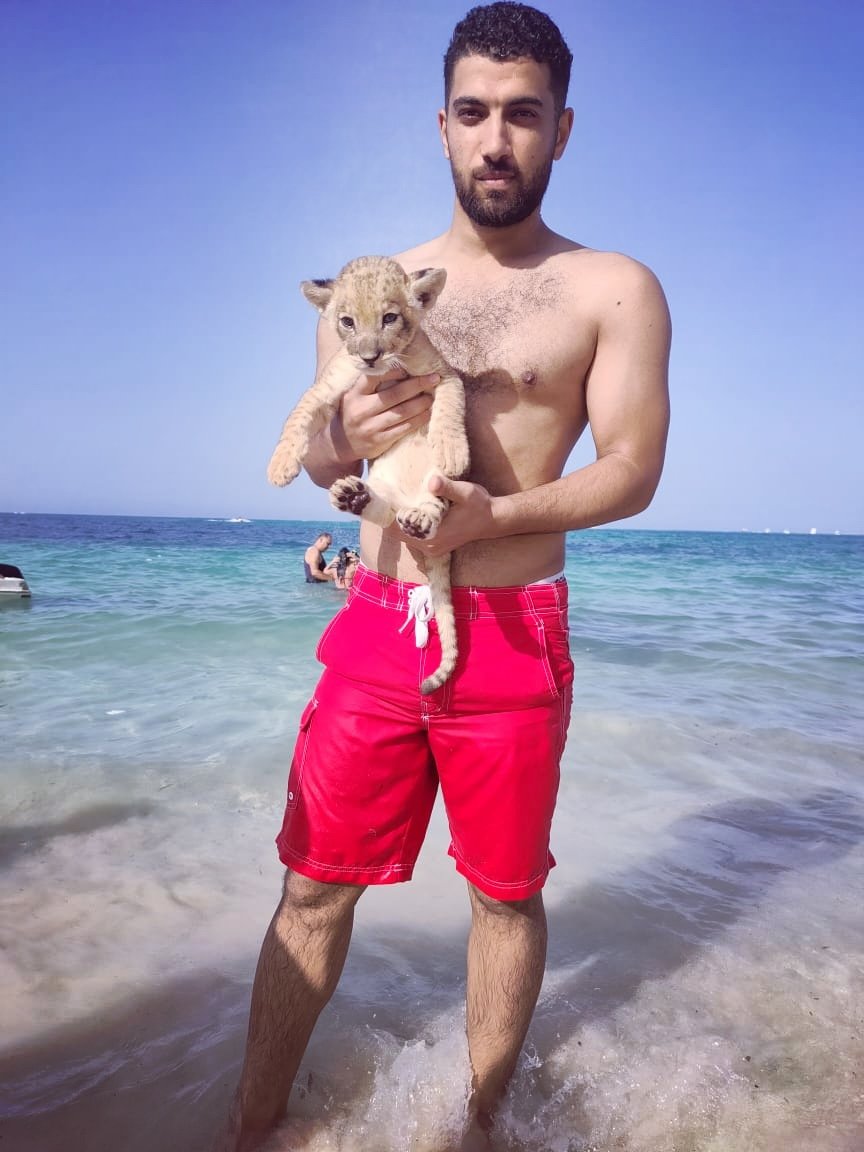 mabdallah222's tweet photo. #Lion 🦁#matroh 🌊🌞 https://t.co/odjEVGwW6Q